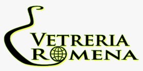 Vetreria Romena